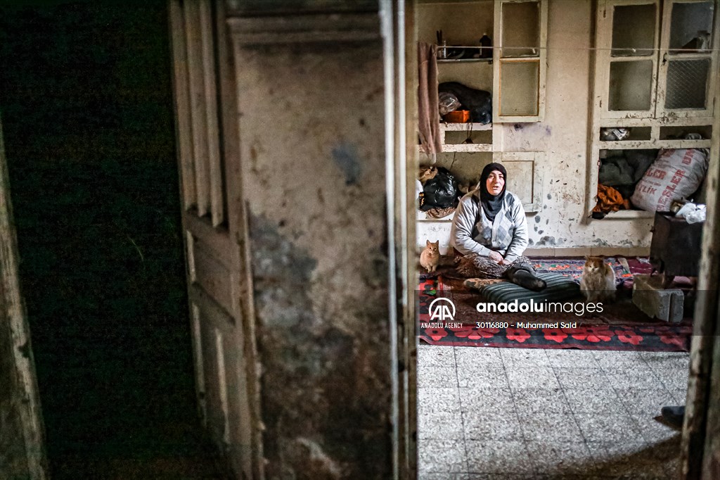 Syrian woman takes care of her cats despite difficult conditions in Idlib