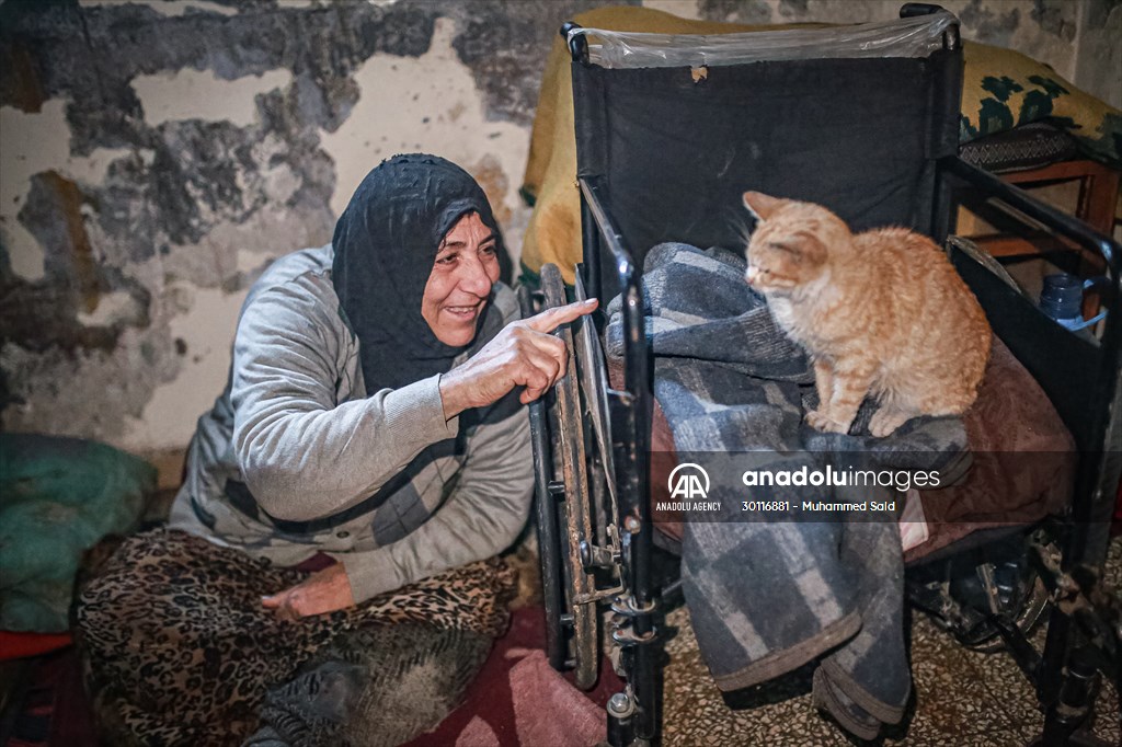 Syrian woman takes care of her cats despite difficult conditions in Idlib