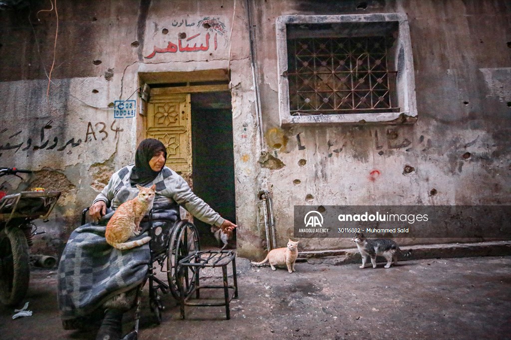 Syrian woman takes care of her cats despite difficult conditions in Idlib