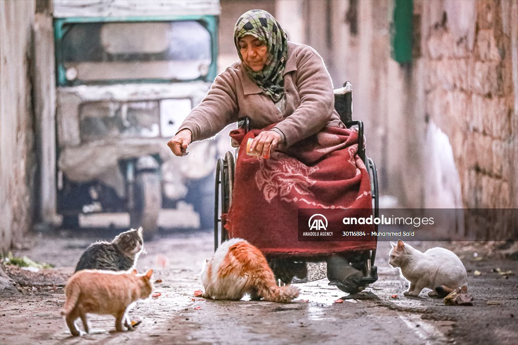 Syrian woman takes care of her cats despite difficult conditions in Idlib