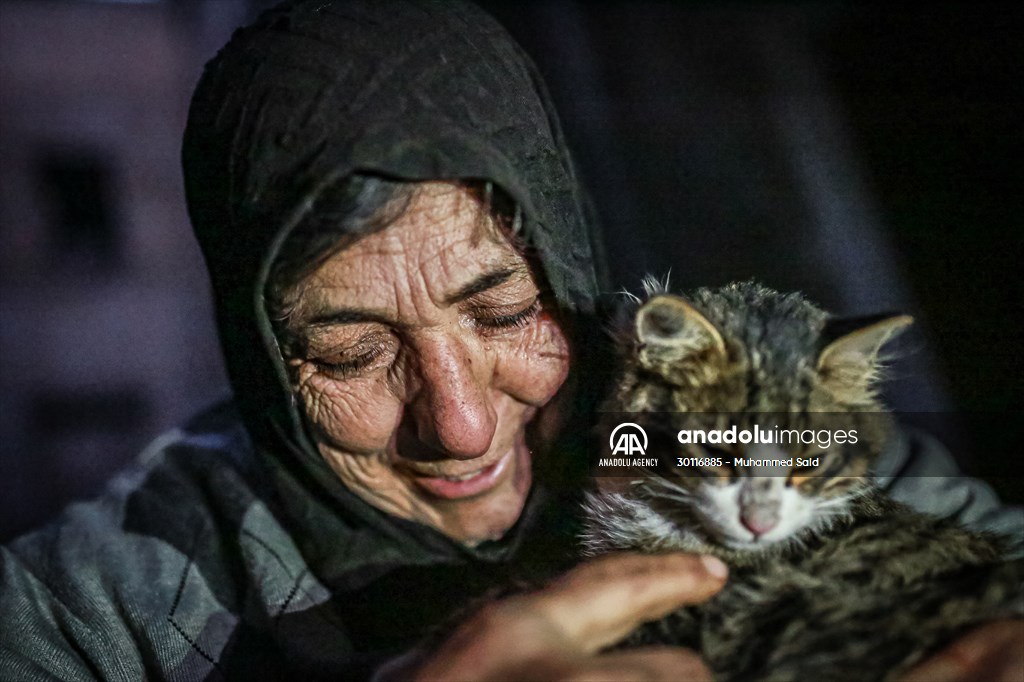 Syrian woman takes care of her cats despite difficult conditions in Idlib