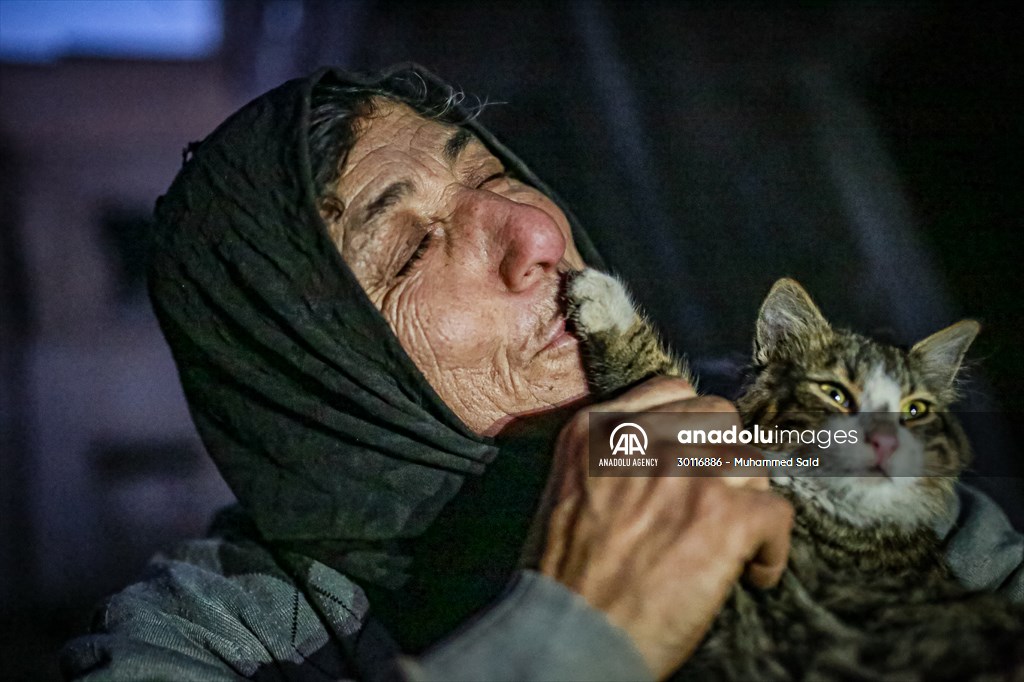 Syrian woman takes care of her cats despite difficult conditions in Idlib