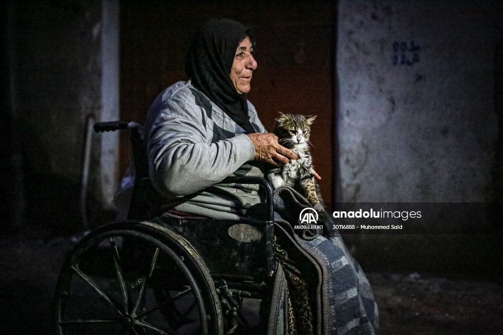 Syrian woman takes care of her cats despite difficult conditions in Idlib