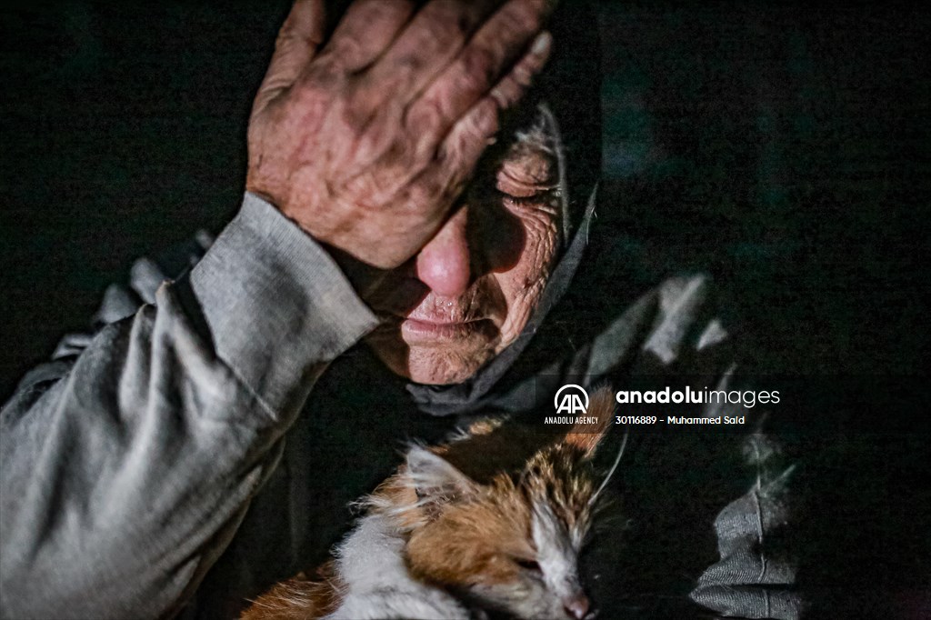 Syrian woman takes care of her cats despite difficult conditions in Idlib