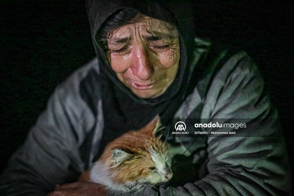 Syrian woman takes care of her cats despite difficult conditions in Idlib