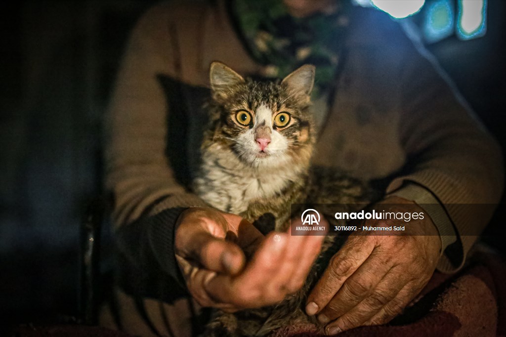Syrian woman takes care of her cats despite difficult conditions in Idlib