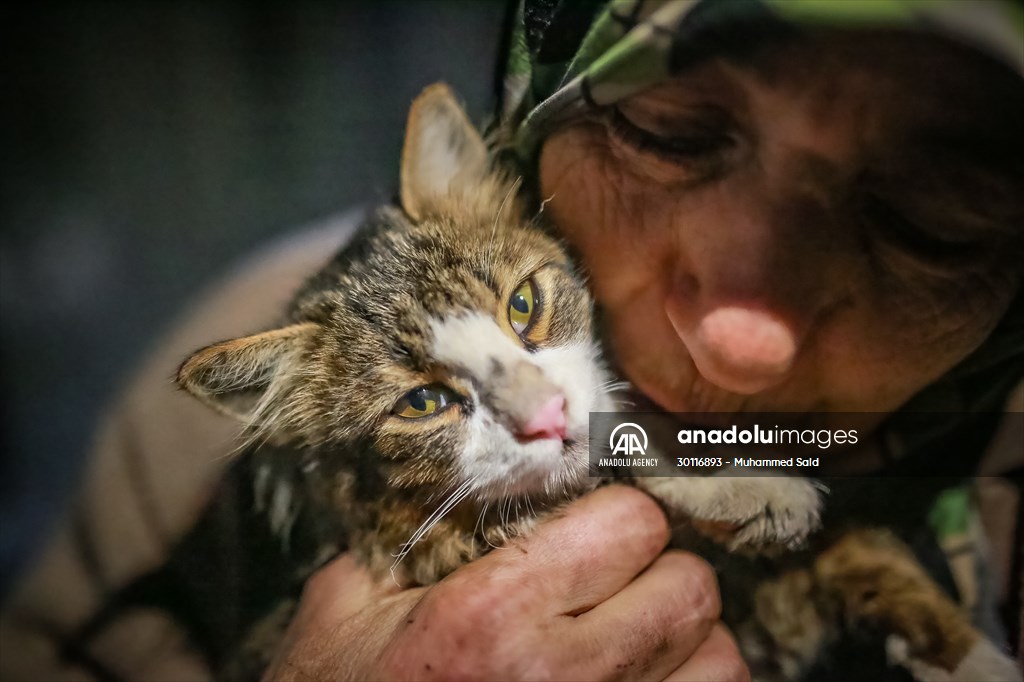 Syrian woman takes care of her cats despite difficult conditions in Idlib