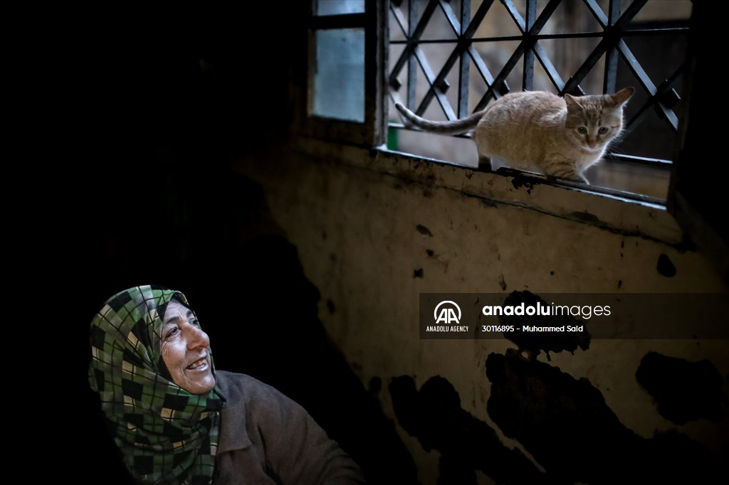 Syrian woman takes care of her cats despite difficult conditions in Idlib