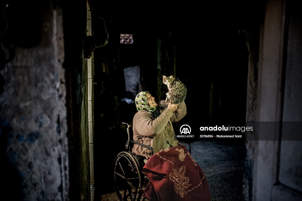 Syrian woman takes care of her cats despite difficult conditions in Idlib