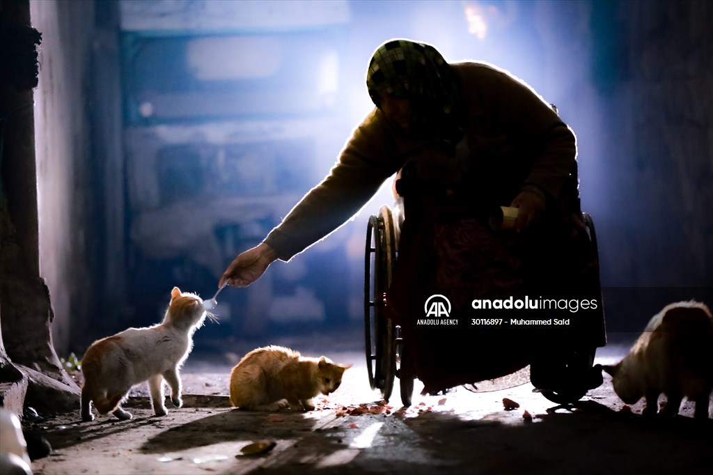 Syrian woman takes care of her cats despite difficult conditions in Idlib