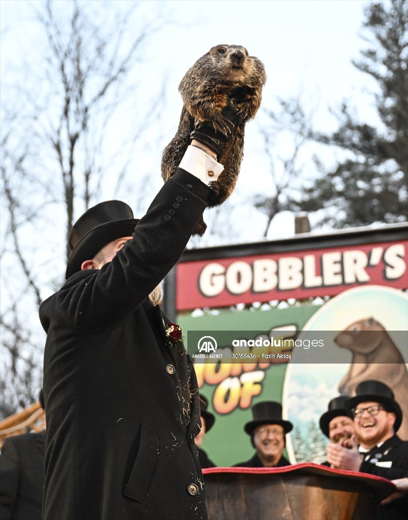 Groundhog Day 2023: Punxsutawney Phil says 6 more weeks winter