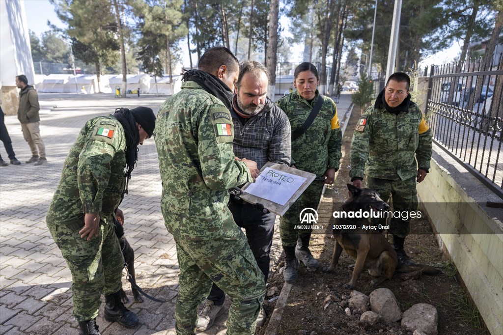 Mexican rescue dog Proteo, who died on duty in earthquake-hit southern Turkiye, buried in Adiyaman