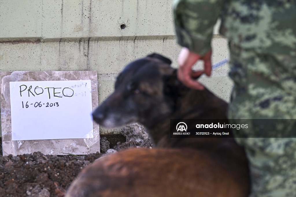 Mexican rescue dog Proteo, who died on duty in earthquake-hit southern Turkiye, buried in Adiyaman