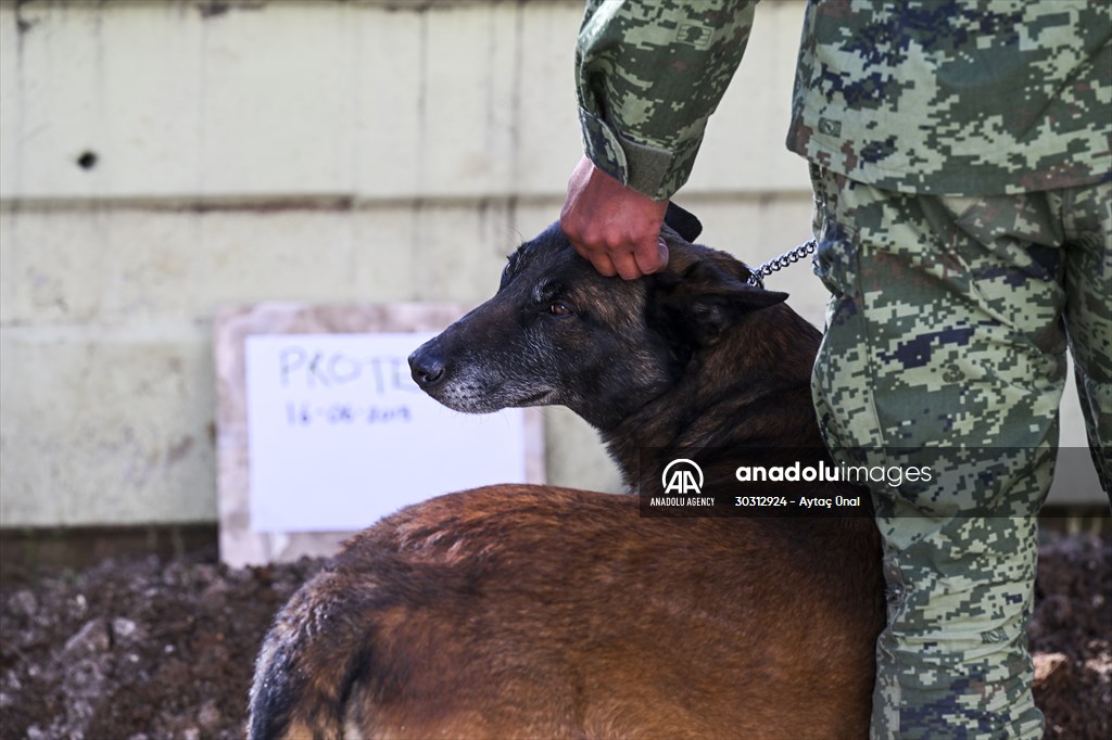 Mexican rescue dog Proteo, who died on duty in earthquake-hit southern Turkiye, buried in Adiyaman