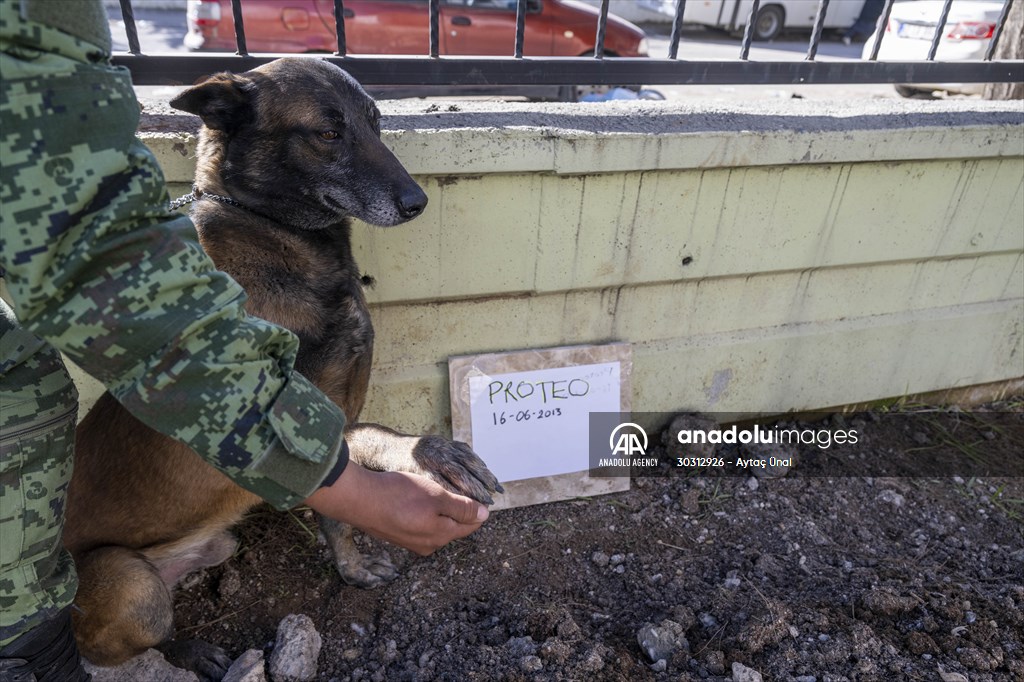 Mexican rescue dog Proteo, who died on duty in earthquake-hit southern Turkiye, buried in Adiyaman