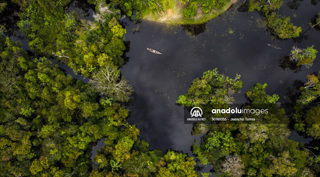 Amazon rainforest in Colombia