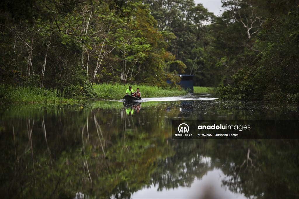 Amazon rainforest in Colombia