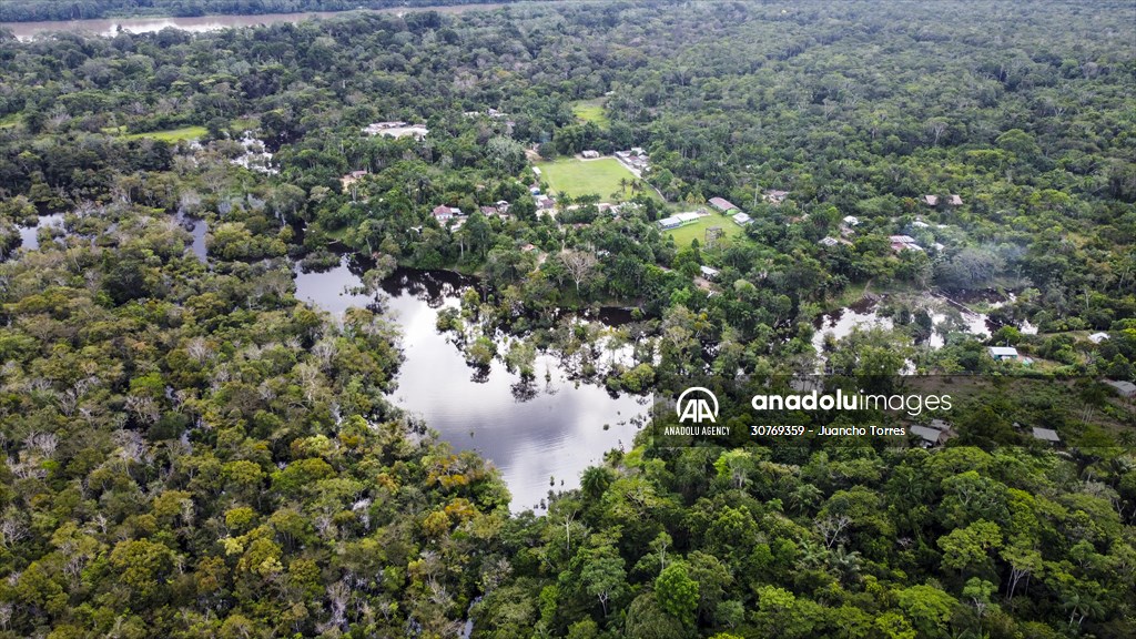 Amazon rainforest in Colombia