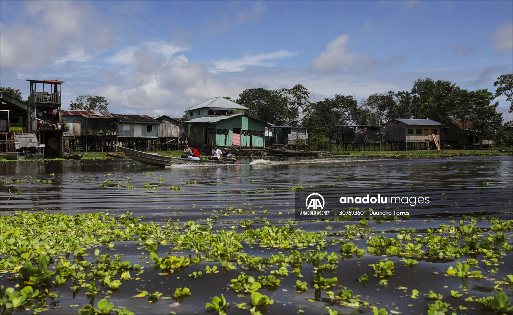 Amazon rainforest in Colombia