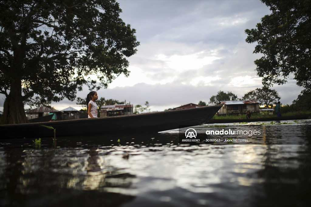 Amazon rainforest in Colombia