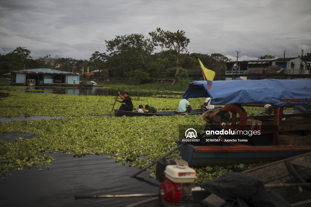 Amazon rainforest in Colombia