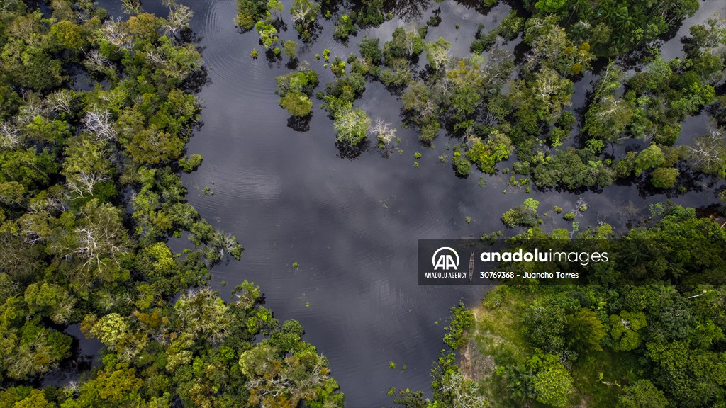 Amazon rainforest in Colombia