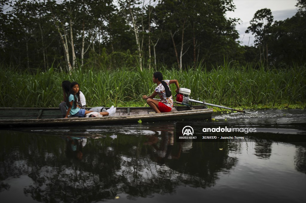 Amazon rainforest in Colombia