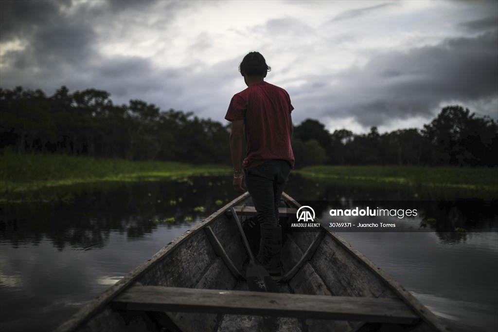 Amazon rainforest in Colombia