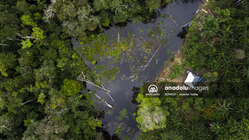 Amazon rainforest in Colombia