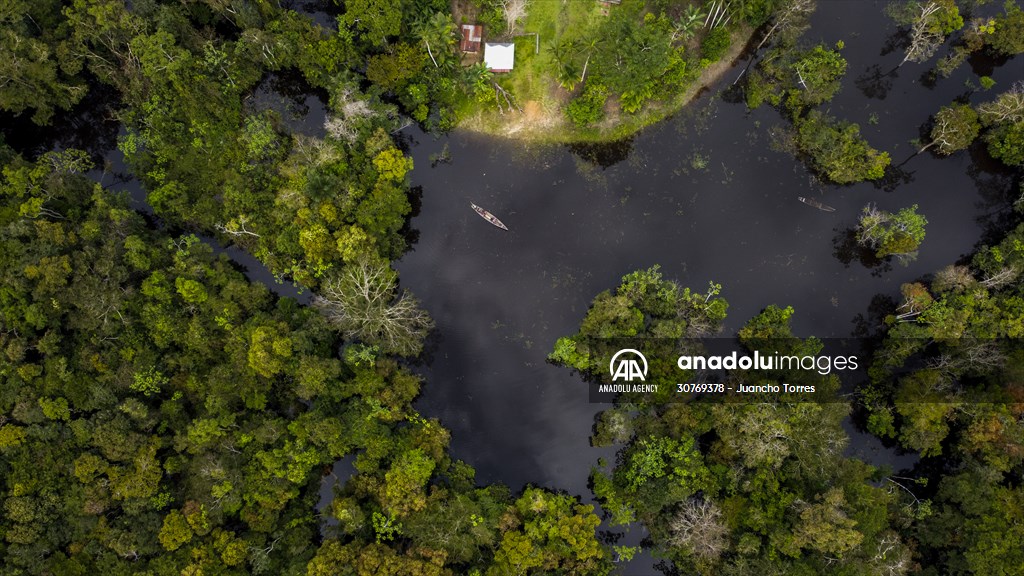 Amazon rainforest in Colombia