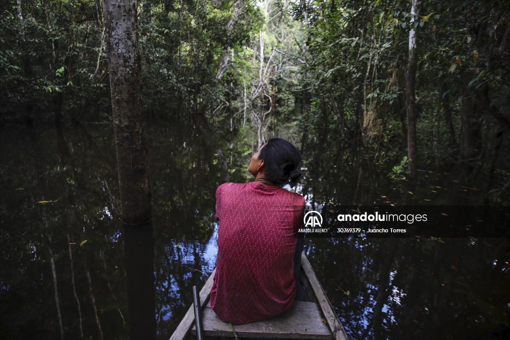 Amazon rainforest in Colombia