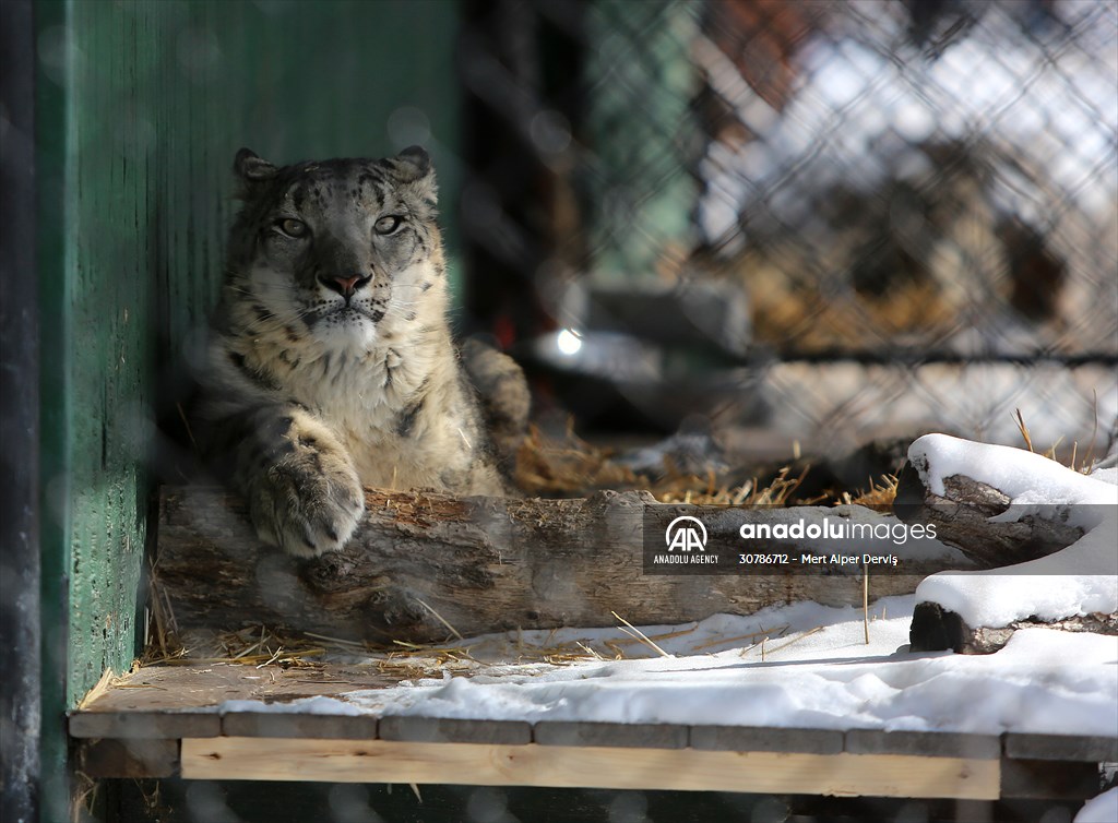 Assiniboine Park Zoo in Winnipeg