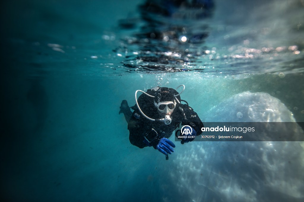 Turkish scientists conduct researches on Antarctica's pollution to protect animals and environment