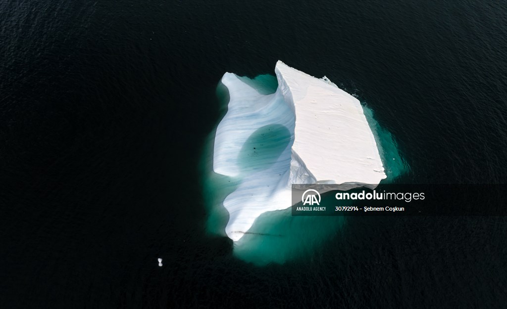 Turkish scientists conduct researches on Antarctica's pollution to protect animals and environment