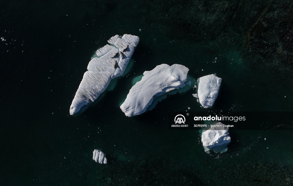Turkish scientists conduct researches on Antarctica's pollution to protect animals and environment