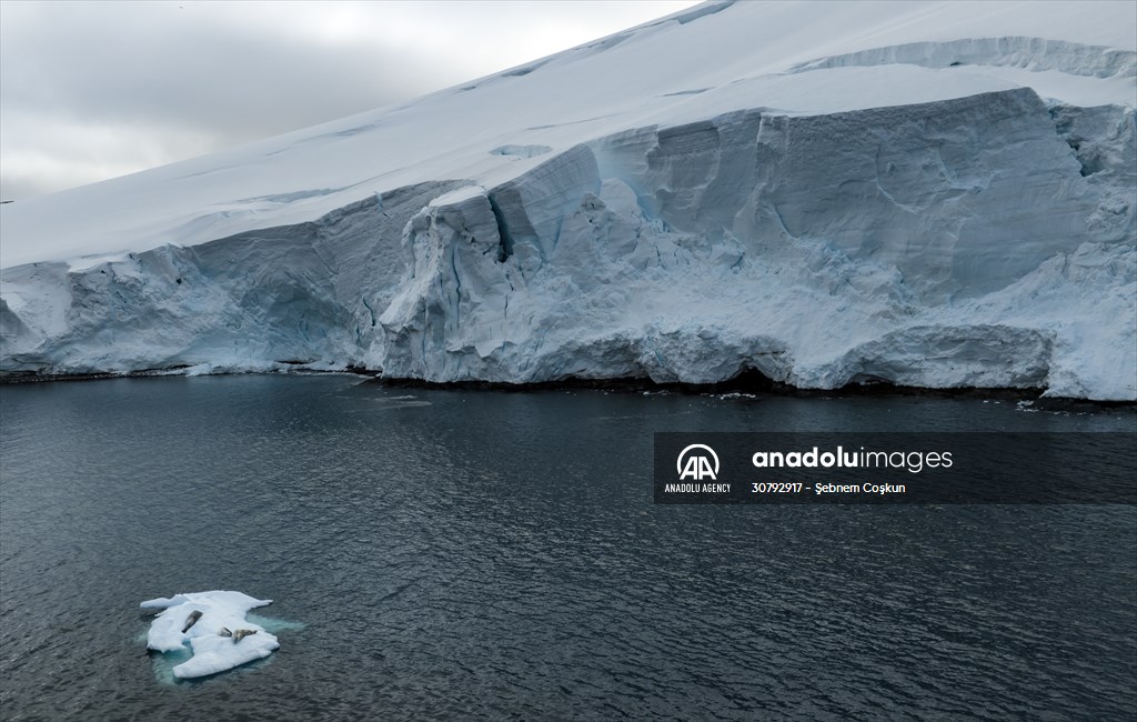 Turkish scientists conduct researches on Antarctica's pollution to protect animals and environment