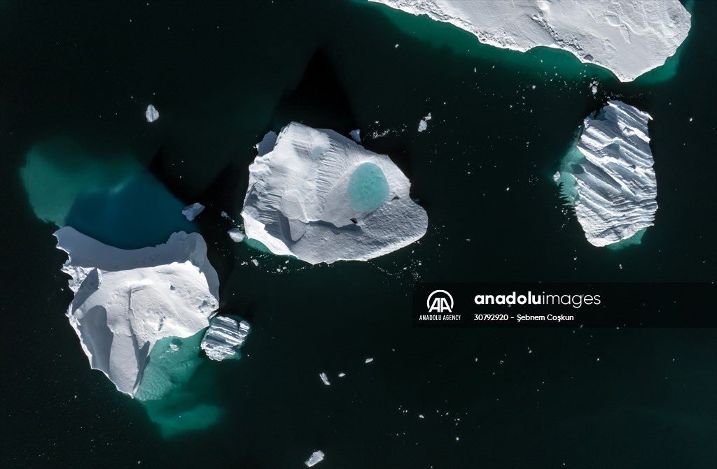 Turkish scientists conduct researches on Antarctica's pollution to protect animals and environment