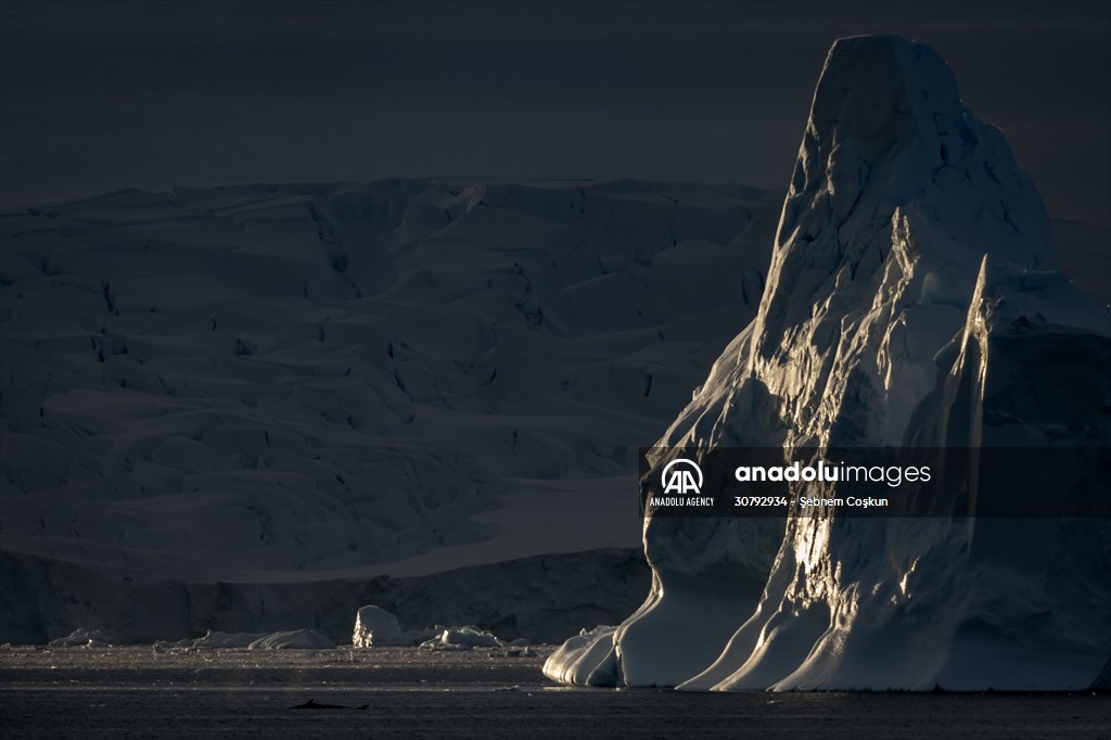 Turkish scientists conduct researches on Antarctica's pollution to protect animals and environment