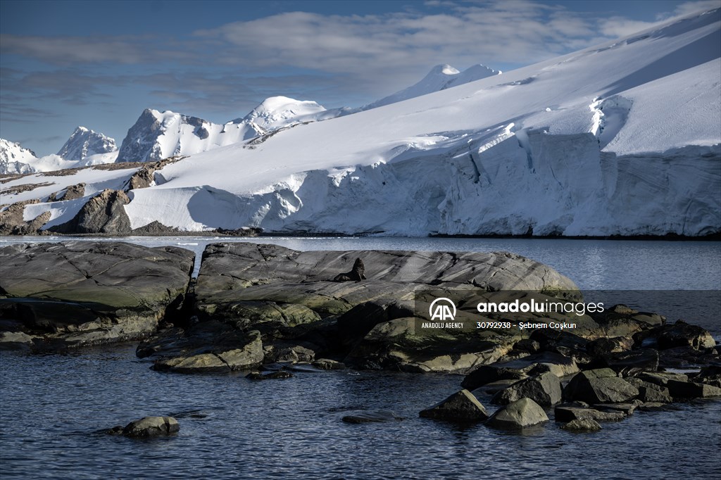 Turkish scientists conduct researches on Antarctica's pollution to protect animals and environment