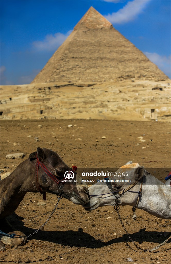 Egypt's Great Pyramid of Giza continue to attract local and foreign tourists
