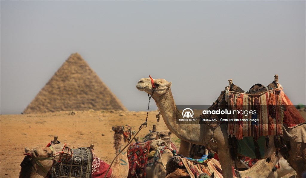 Egypt's Great Pyramid of Giza continue to attract local and foreign tourists