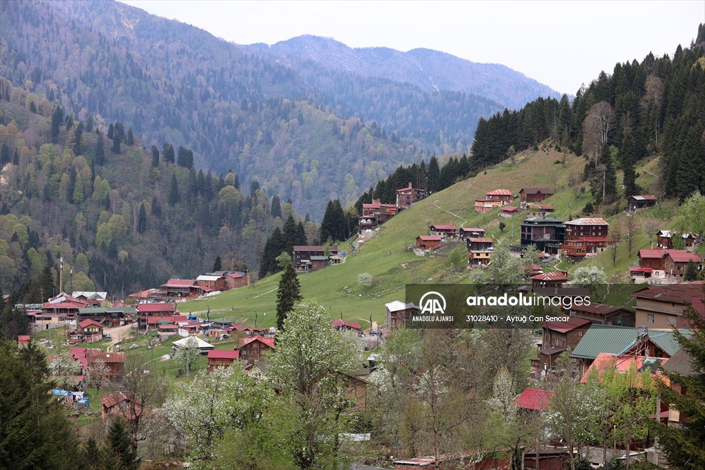 Rize doğal güzelliğiyle ziyaretçilerine görsel şölen sunuyor