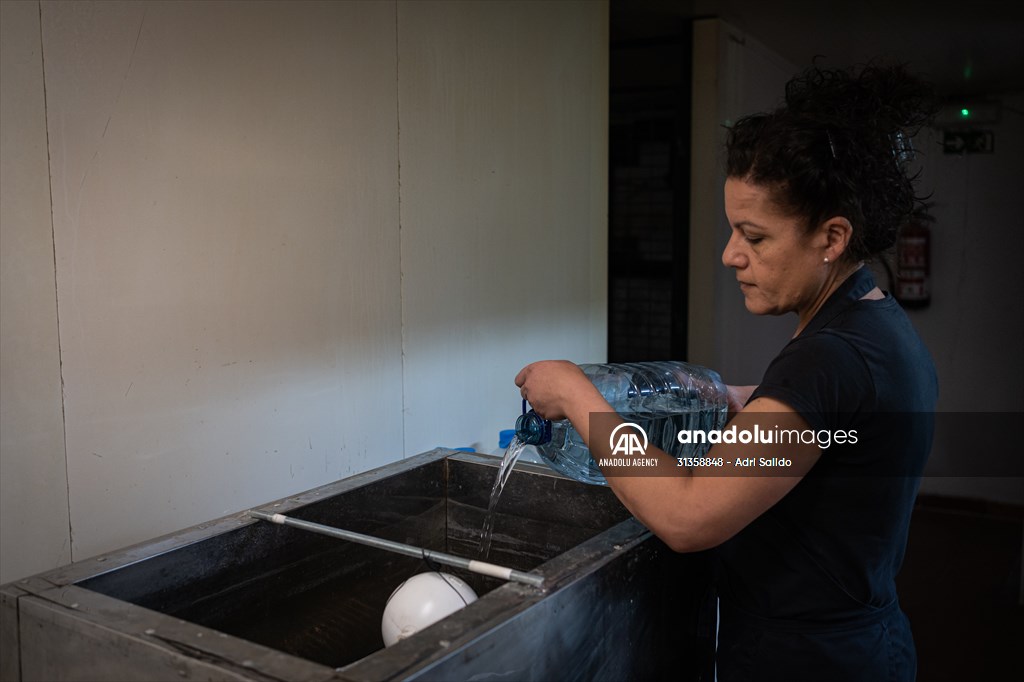 Water drought dried up reservoirs in Spain's Cordoba region