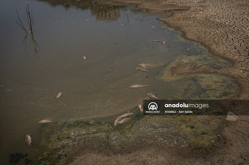 Water drought dried up reservoirs in Spain's Cordoba region