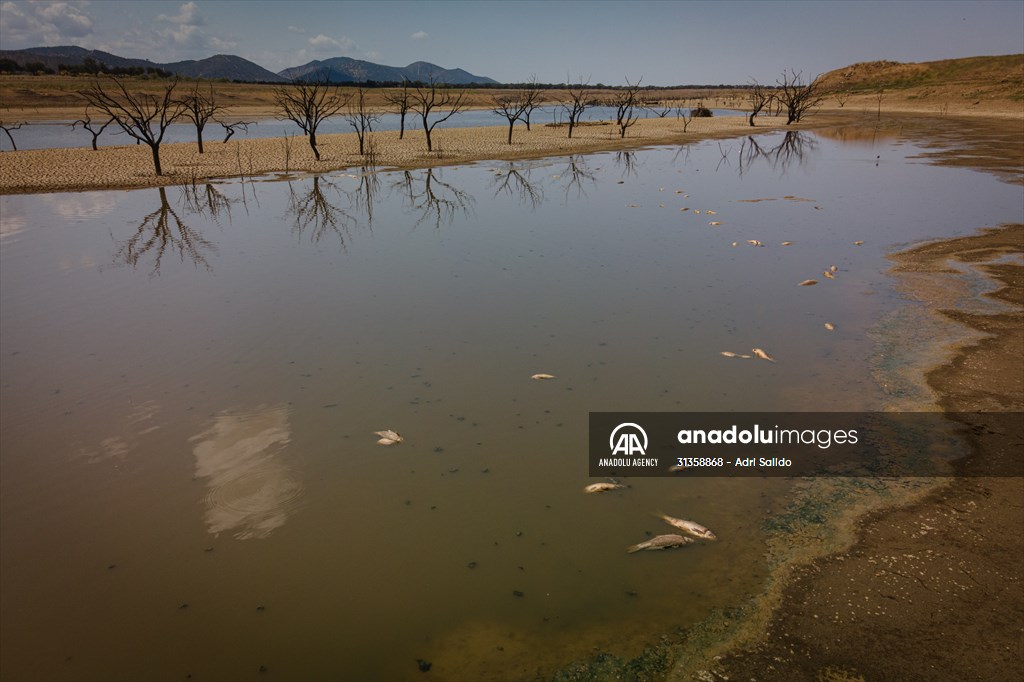 Water drought dried up reservoirs in Spain's Cordoba region