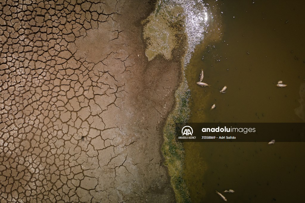 Water drought dried up reservoirs in Spain's Cordoba region