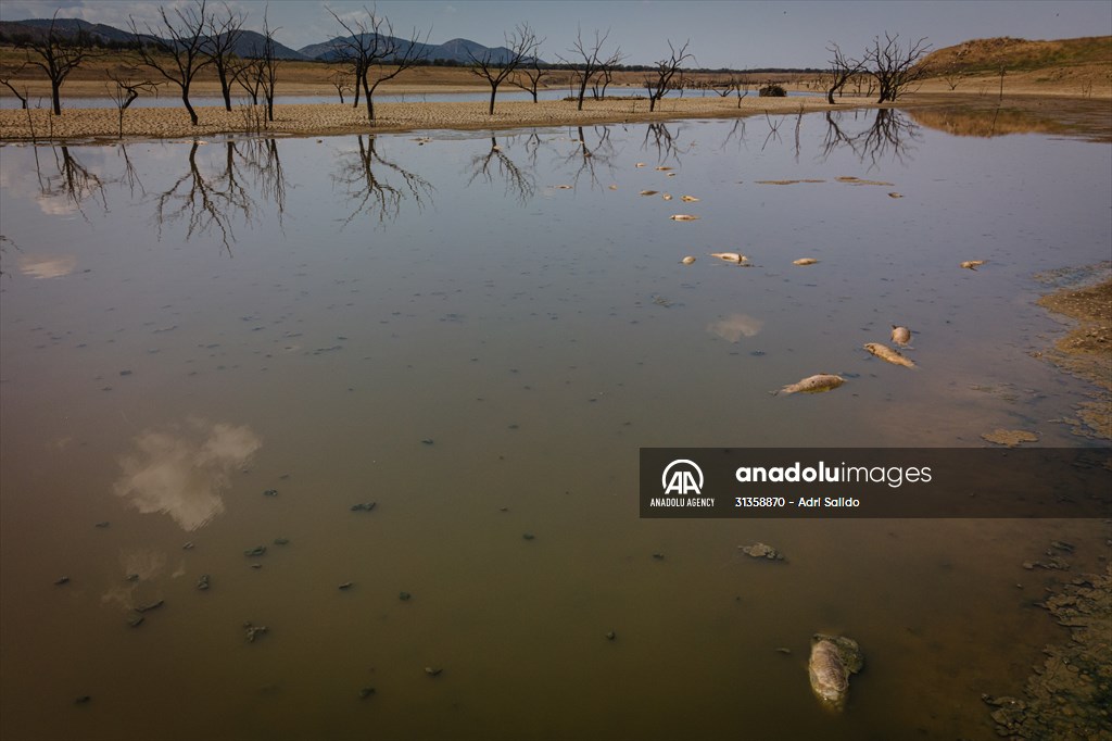 Water drought dried up reservoirs in Spain's Cordoba region