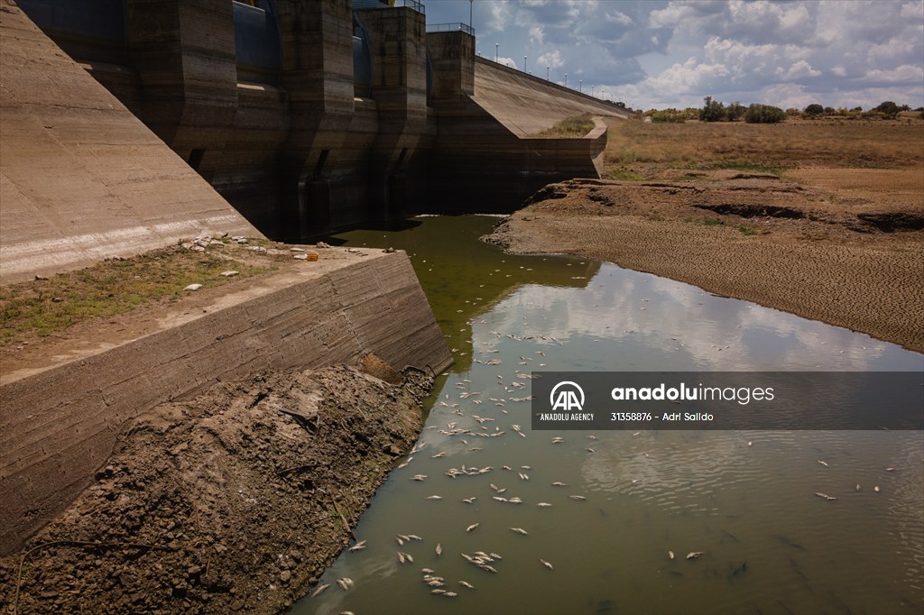 Water drought dried up reservoirs in Spain's Cordoba region