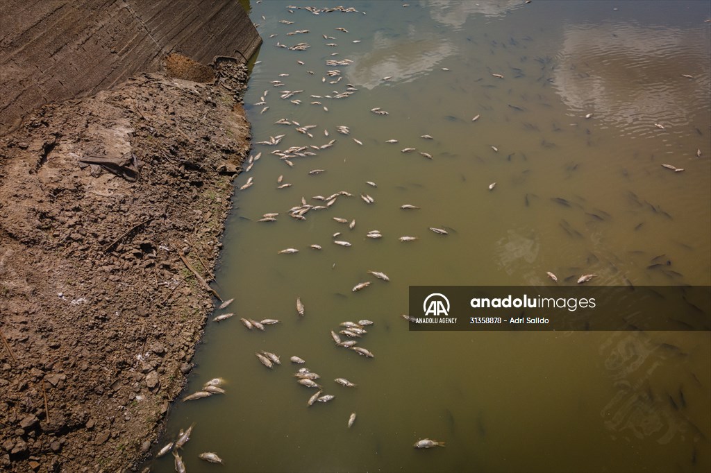 Water drought dried up reservoirs in Spain's Cordoba region