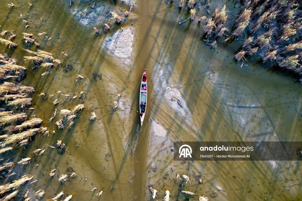 Mesopotamian Marshes under the threat of drought